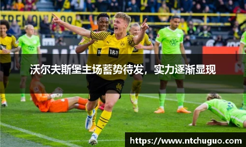 沃尔夫斯堡主场蓄势待发，实力逐渐显现