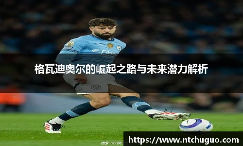 格瓦迪奥尔的崛起之路与未来潜力解析